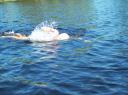 Jay swimming in Chippego Lake, photo by Sara Hay